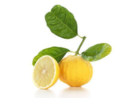 Bergamotto