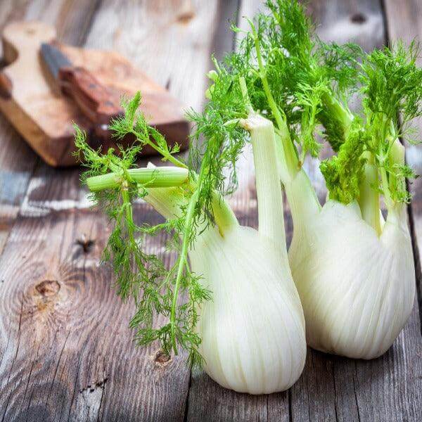 Finocchio 2 kg. - frutta e verdura di stagione - horecahub.myshopify.com