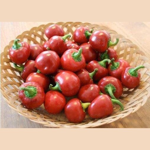 Peperone Rotondo Ciliegino da Riempire - frutta e verdura di stagione - horecahub.myshopify.com