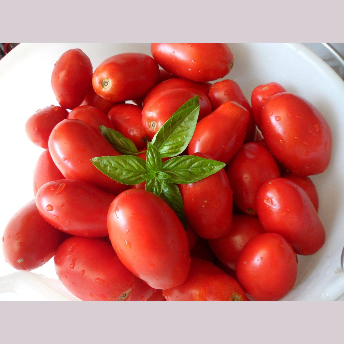 Pomodoro Pelato a Mano 580 ml. - Conserve di Terra, di Mare, Delicatessen - horecahub.myshopify.com