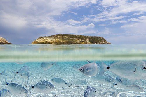 Isole Pelagie - Lampedusa, Linosa e Pantelleria con mare cristallino e natura mediterranea