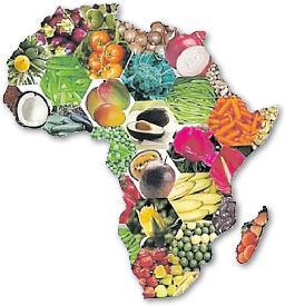 African Food (cibo africano) - Vendita online di prodotti tipici provenienti dall'Africa - Tastiness Food Shop