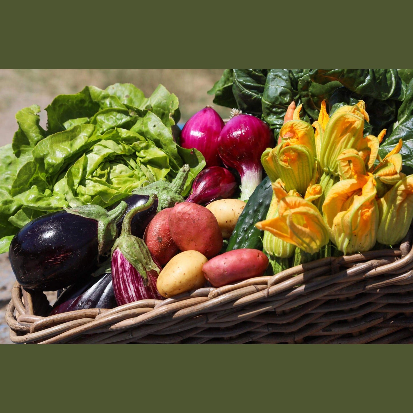 Cassetta di ortaggi freschi: lattuga, melanzane, patate, cipolle e fiori di zucchine raccolti al momento.