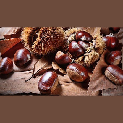 Castagne di Calabria on rustic leaves, showcasing fresh chestnuts and their spiky husks, a delicious gluten-free snack.