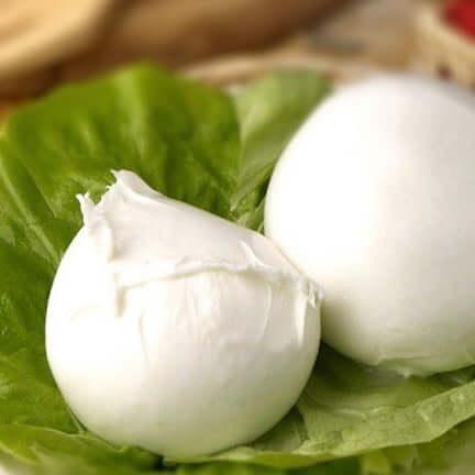 Fresh Mozzarella Fior di Latte on a bed of lettuce, perfect for antipasti, salads, or pizza toppings.
