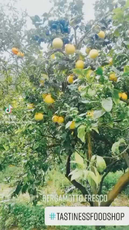 Bergamotto fresco originale di Reggio Calabria 1 Kg.