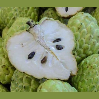 Annona Cirimoia - Frutto da circa 500 gr. - frutta e verdura di stagione - horecahub.myshopify.com