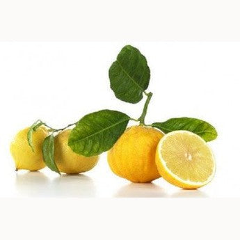 Bergamotto fresco l'originale di Reggio Calabria 1 Kg. - frutta e verdura di stagione - horecahub.myshopify.com