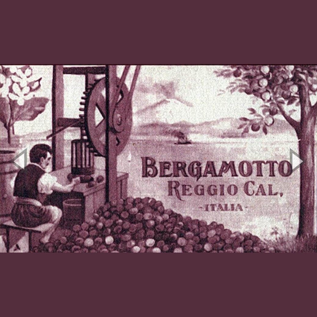 Bergamotto fresco l'originale di Reggio Calabria 1 Kg. - frutta e verdura di stagione - horecahub.myshopify.com