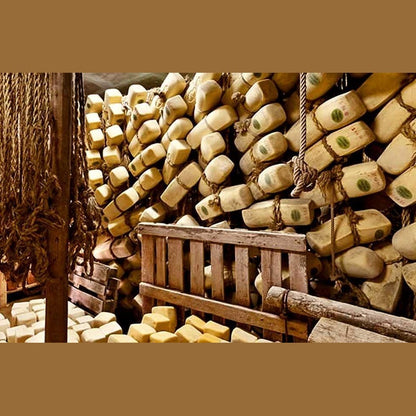 Caciocavallo Ragusano DOP showcased in a cheese aging cellar with stacked cheese wheels and wooden shelves.
