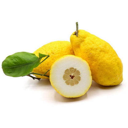Cedri Calabresi - Freschi conf. da 2 kg - frutta e verdura di stagione - horecahub.myshopify.com