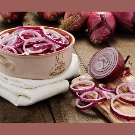 Cipolla Rossa - 1 kg - frutta e verdura di stagione - horecahub.myshopify.com