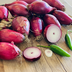 Cipolla Rossa - 1 kg - frutta e verdura di stagione - horecahub.myshopify.com