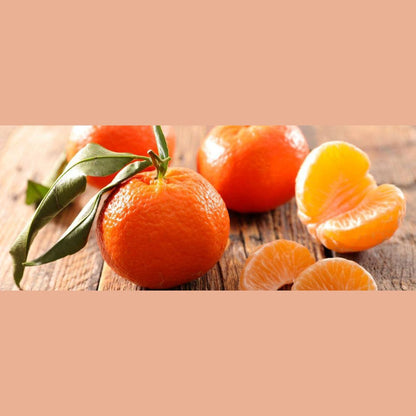 Clementine Fresche - Appena Raccolte - frutta e verdura di stagione - horecahub.myshopify.com