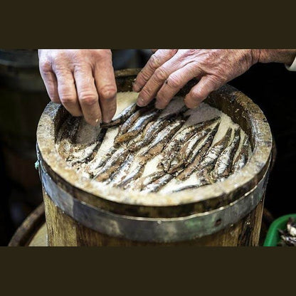 Colatura di Alici preparation process with salted anchovies in a wooden container.