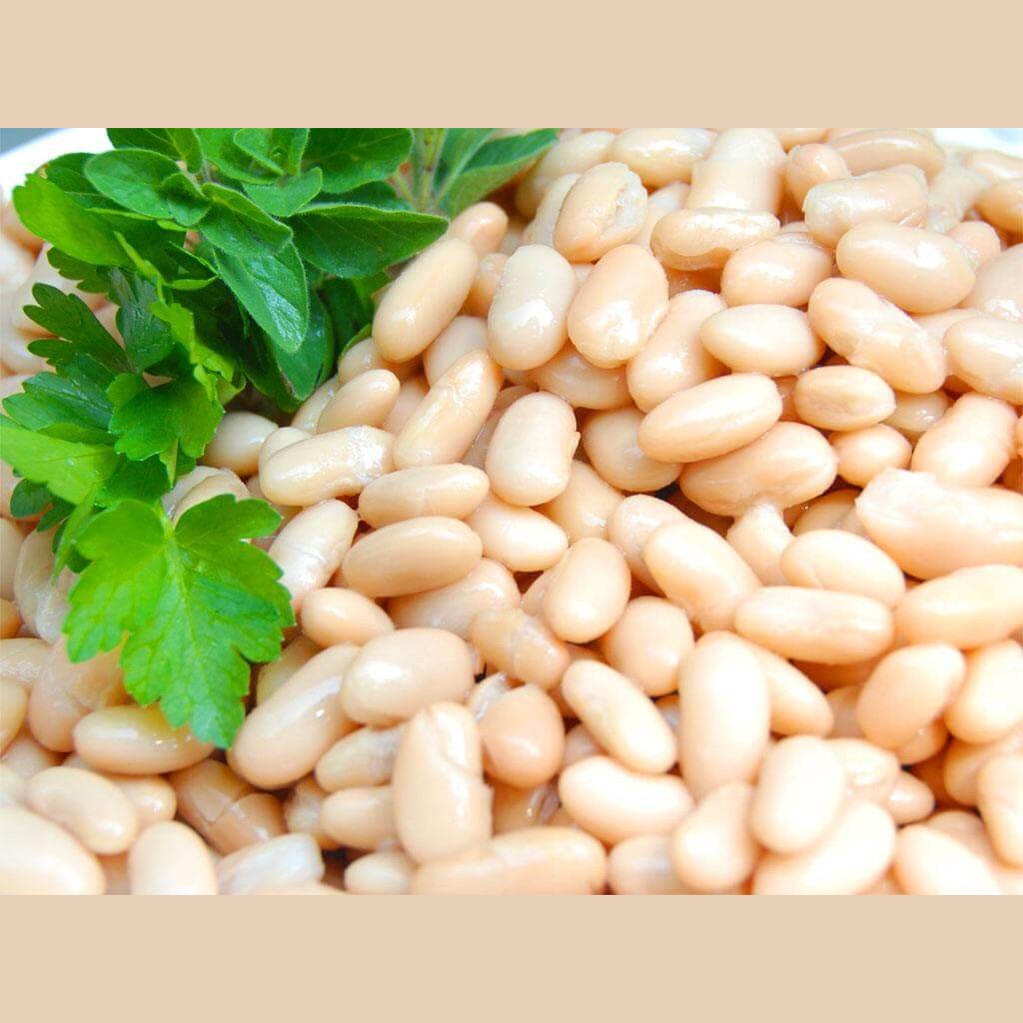 Fagioli Cannellini - frutta e verdura di stagione - horecahub.myshopify.com