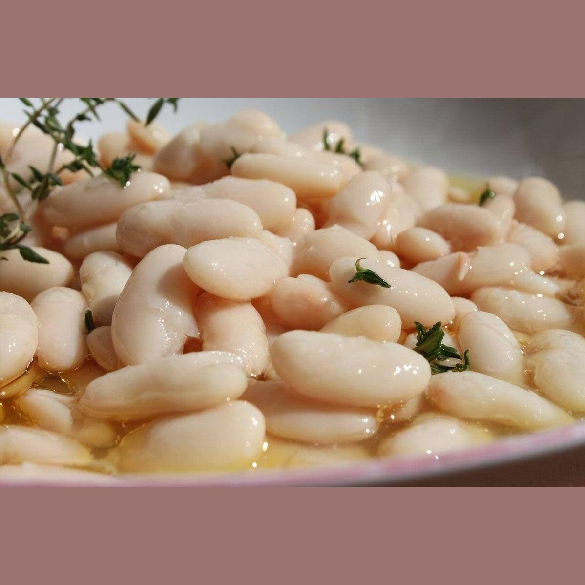 Fagioli Cannellini - frutta e verdura di stagione - horecahub.myshopify.com