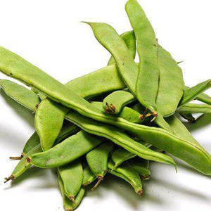 Fagiolini Piatti Calabrian - frutta e verdura di stagione - horecahub.myshopify.com