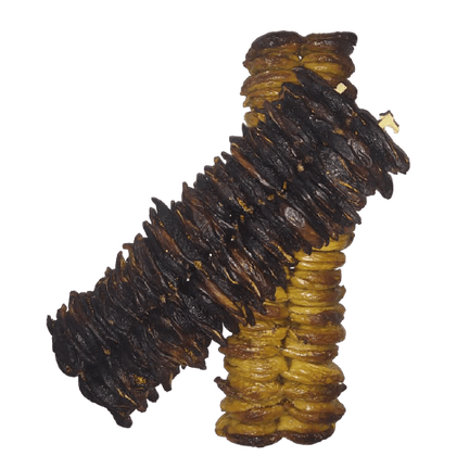Fichi secchi calabresi nella canna - frutta e verdura di stagione - horecahub.myshopify.com
