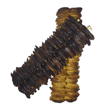 Fichi secchi calabresi nella canna - frutta e verdura di stagione - horecahub.myshopify.com