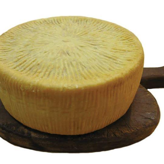 Formaggio Caprino di Calabria - Formaggeria - horecahub.myshopify.com