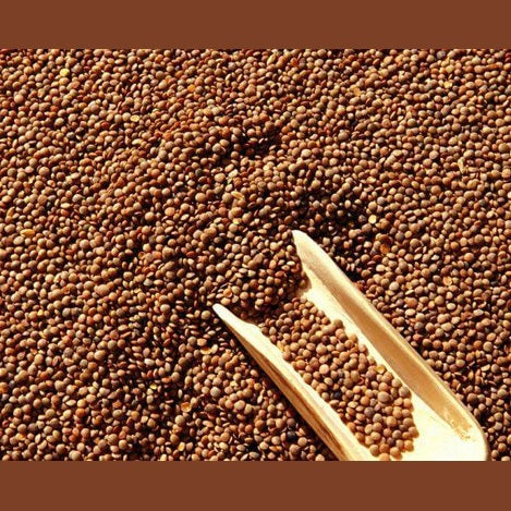 Lenticchie Giganti Italiane - 500 gr. - frutta e verdura di stagione - horecahub.myshopify.com