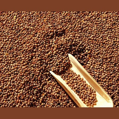 Lenticchie Giganti Italiane - 500 gr. - frutta e verdura di stagione - horecahub.myshopify.com