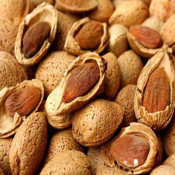Mandorla Siciliana Tuono Naturale - frutta e verdura di stagione - horecahub.myshopify.com