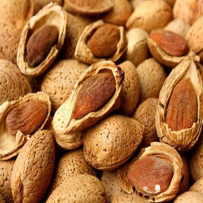 Mandorla Siciliana Tuono Naturale - frutta e verdura di stagione - horecahub.myshopify.com