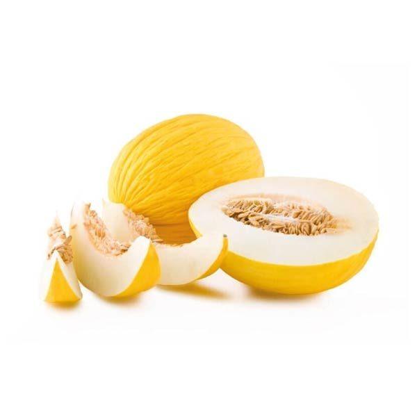 Melone Giallo dell'Orto circa 1.5 kg - frutta e verdura di stagione - horecahub.myshopify.com