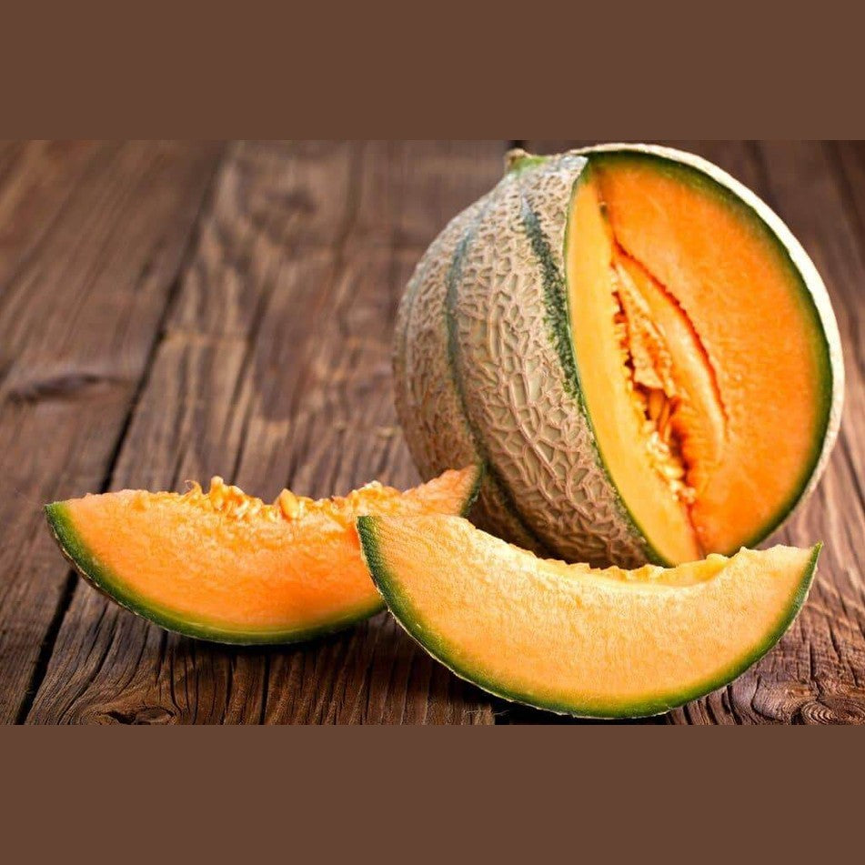 Melone Cantalupo Intero da circa 1,5 kg - frutta e verdura di stagione - horecahub.myshopify.com