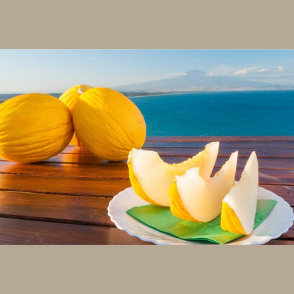 Melone Giallo dell'Orto circa 1.5 kg - frutta e verdura di stagione - horecahub.myshopify.com