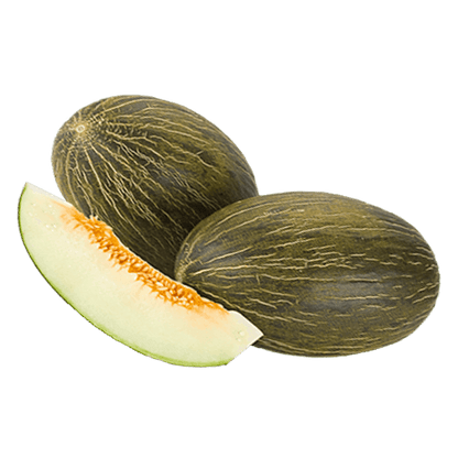 Melone Bianco di Campo 1.5 kg - frutta e verdura di stagione - horecahub.myshopify.com