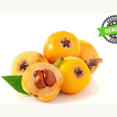 Nespole Fresche cestino da 500 gr.