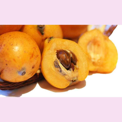 Nespole Fresche cestino da 500 gr. - frutta e verdura di stagione - horecahub.myshopify.com