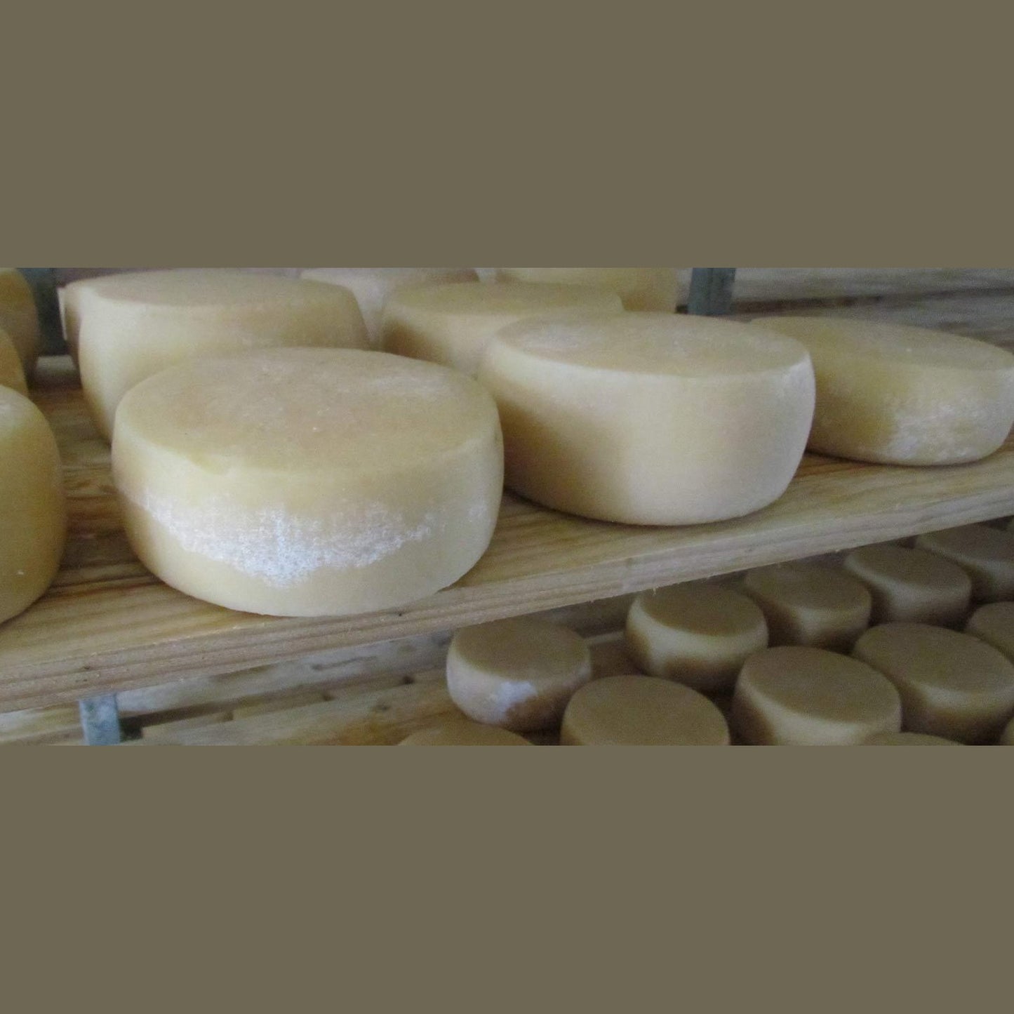 Pecorino del Monte Poro - DOP - Formaggeria - horecahub.myshopify.com