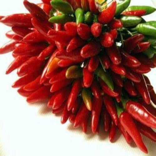 Peperoncino calabrese fresco 100 gr.