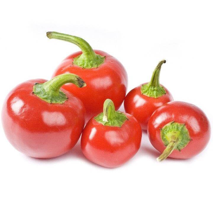 Peperone Rotondo Ciliegino da Riempire - frutta e verdura di stagione - horecahub.myshopify.com