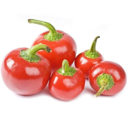 Peperone Rotondo Ciliegino da Riempire - frutta e verdura di stagione - horecahub.myshopify.com