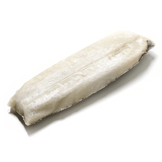 Pesce Stocco Crudo - Conserve di Terra, di Mare, Delicatessen - horecahub.myshopify.com