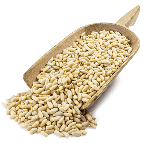 Pinoli Sbucciati Italiani 100 gr. - frutta e verdura di stagione - horecahub.myshopify.com