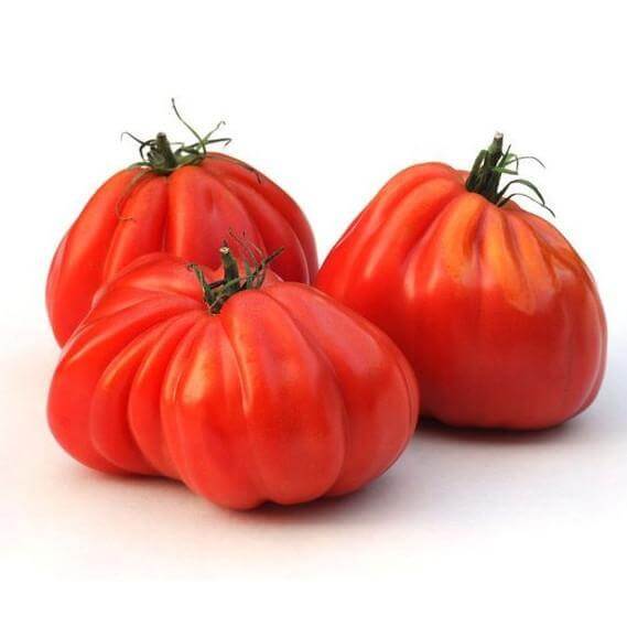 Pomodoro Cuore di Bue - frutta e verdura di stagione - horecahub.myshopify.com