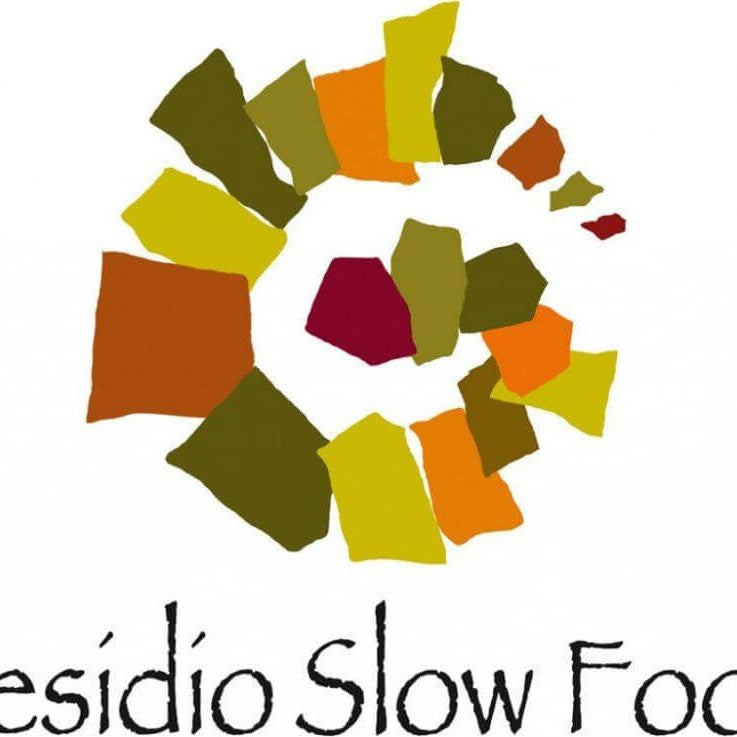 Logo of Presidio Slow Food representing sustainable food practices and traditional craftsmanship.