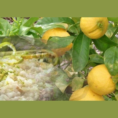 Riso di Sibari al Bergamotto di Calabria 250 gr. - Prodotti da forno - horecahub.myshopify.com