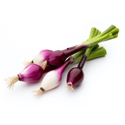 Scalogno di Cipolla rossa di Tropea IGP in mazzetto - 500 gr. - frutta e verdura di stagione - horecahub.myshopify.com